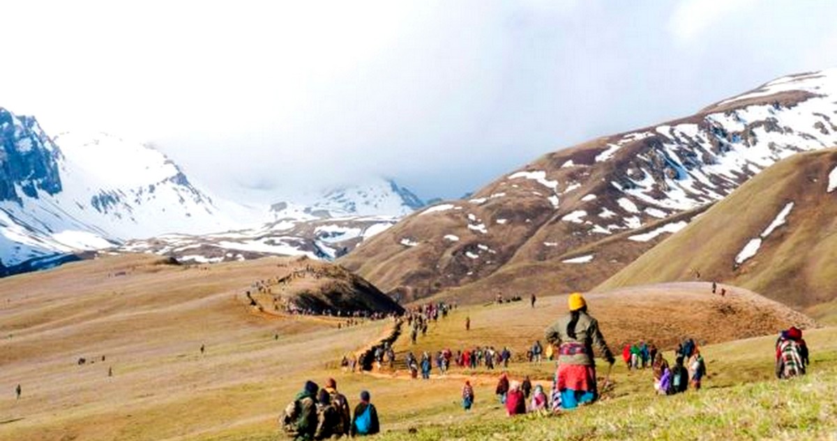 डोल्पाका यार्सापाटनहरूमा जेठ १० गतेदेखि यार्सागुम्बा संकलन गर्न पाइने 